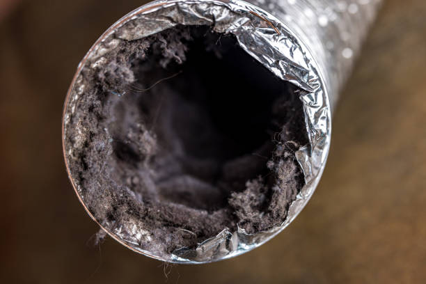 Best Residential Air Duct Cleaning  in Bay Hill, FL