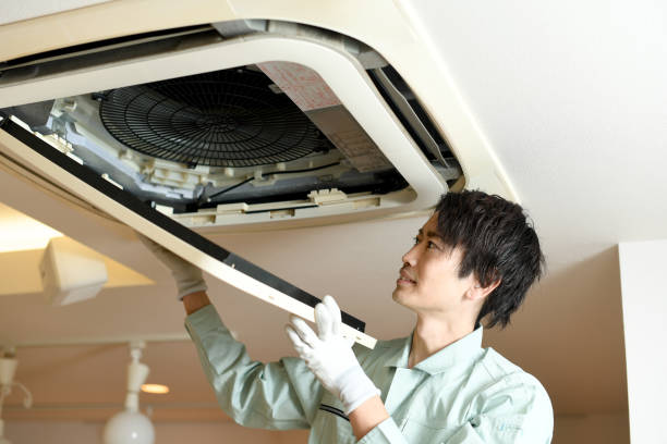 Best Ductwork Cleaning Services  in Bay Hill, FL